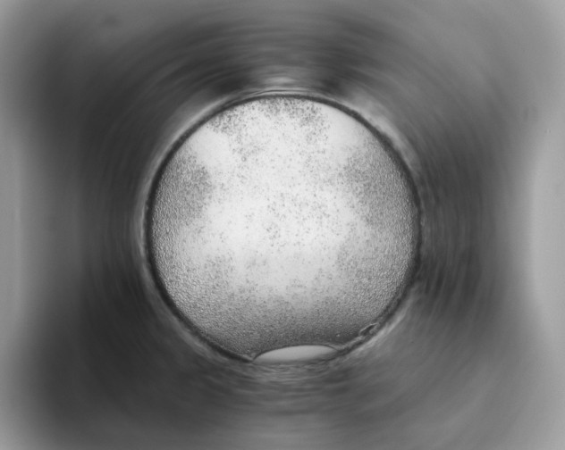 X0000093441333200711091447