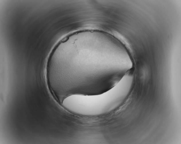 X0000093441334200711091447