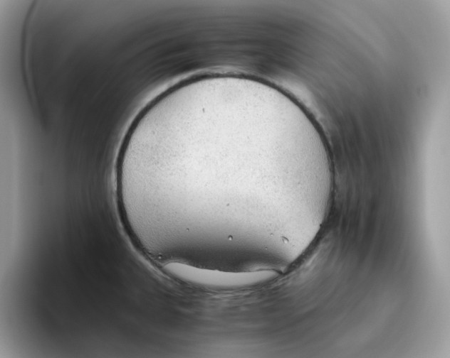 X0000093441335200711091447