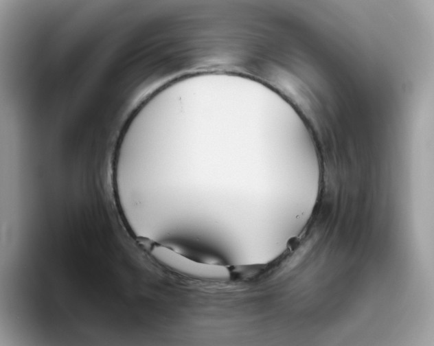 X0000093441336200711091447