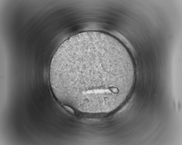 X0000093441337200711091447