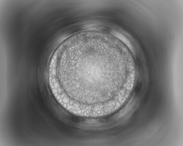 X0000093441338200711091447