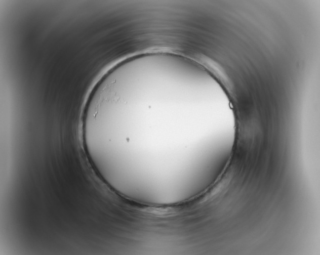 X0000093441340200711091447