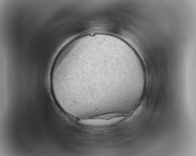 X0000093441341200711091447