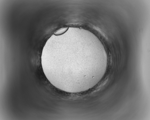 X0000093441350200711091446