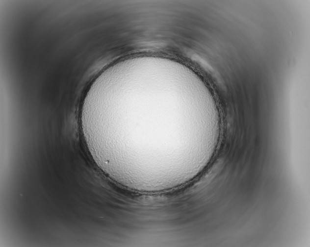 X0000093441354200711091446