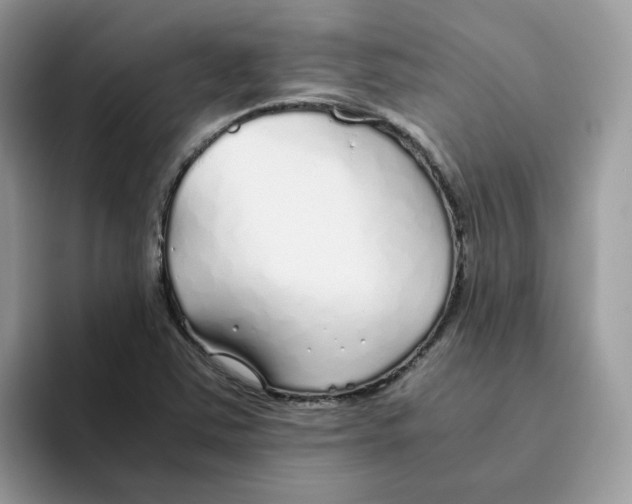 X0000093441363200711091446