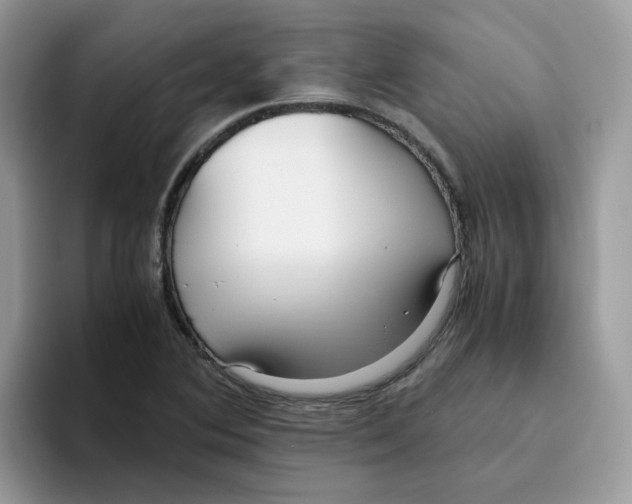 X0000093441364200711091446