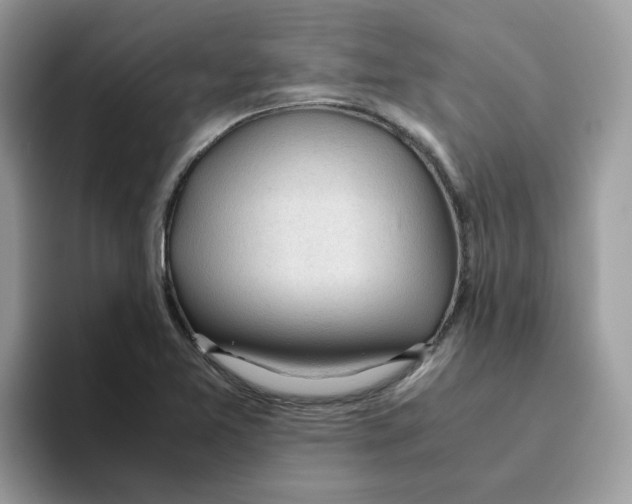 X0000093441365200711091446