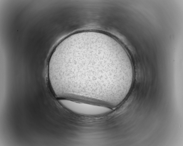 X0000093441366200711091446