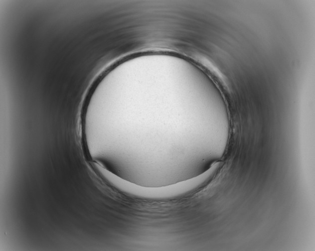 X0000093441372200711091446