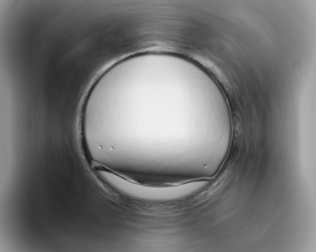 X0000093441375200711091446