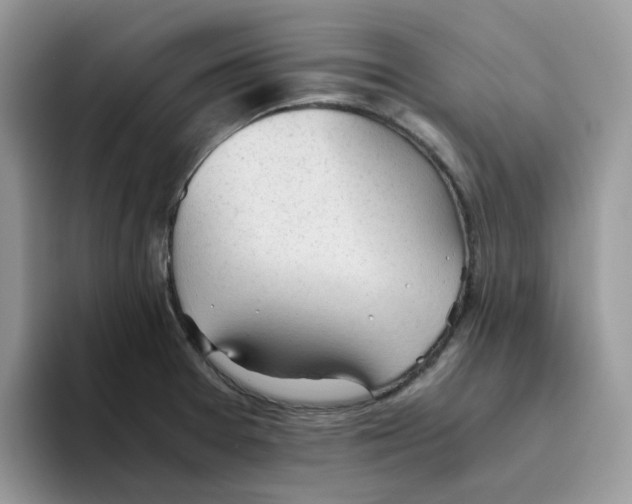 X0000093441377200711091446