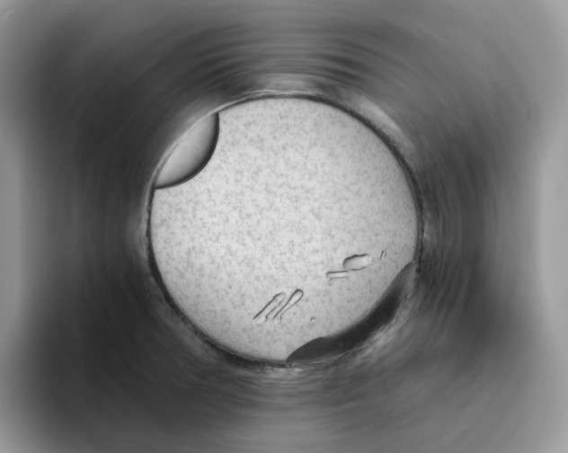 X0000093441378200711091446