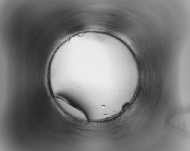 X0000093441379200711091446