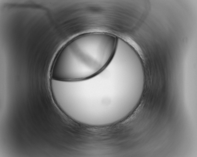 X0000093441380200711091446