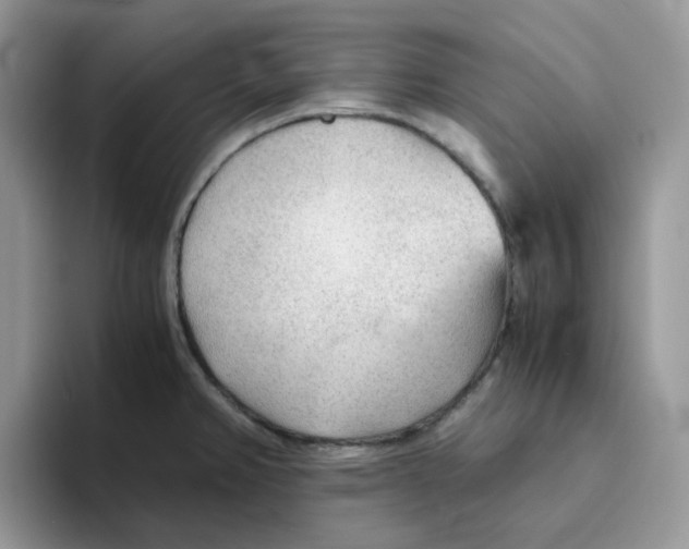 X0000093441382200711091446