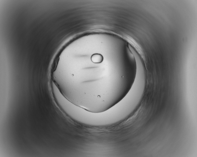 X0000093441384200711091446