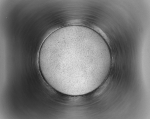 X0000093441386200711091446