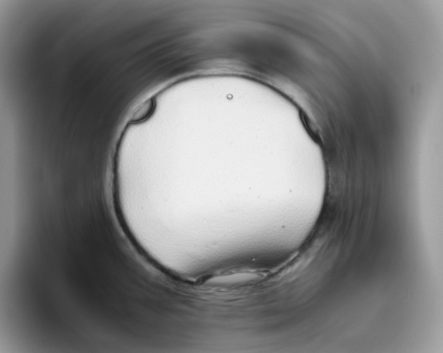 X0000093441387200711091446