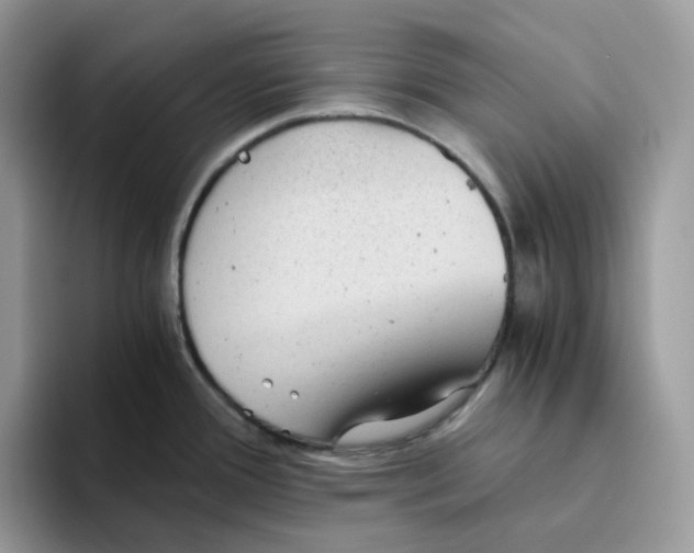 X0000093441388200711091446