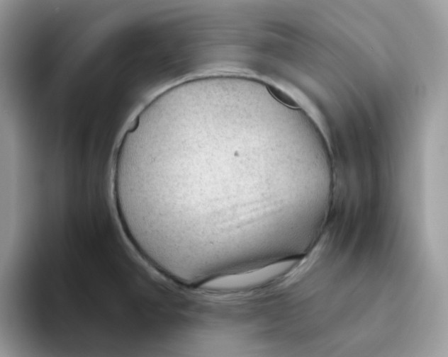 X0000093441390200711091446