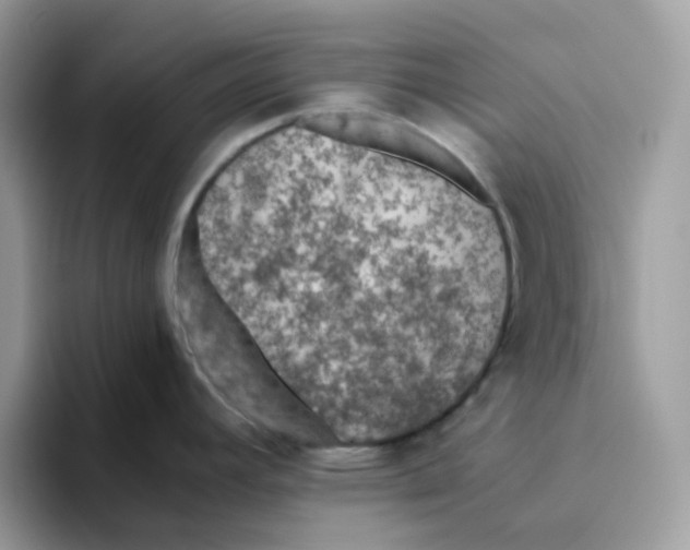 X0000093441392200711091446