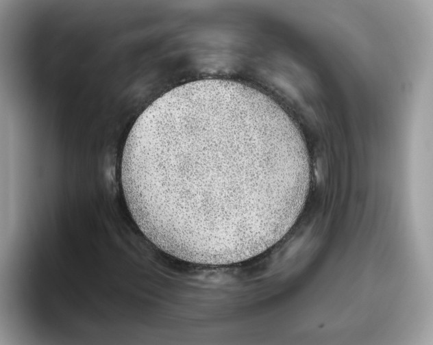 X0000093441396200711091445