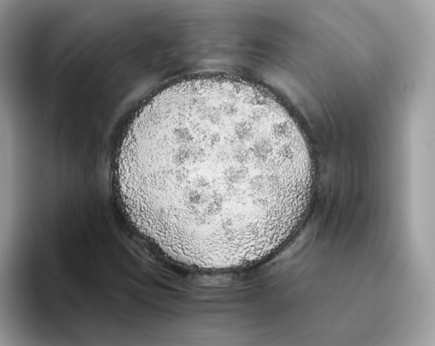 X0000093441403200711091445