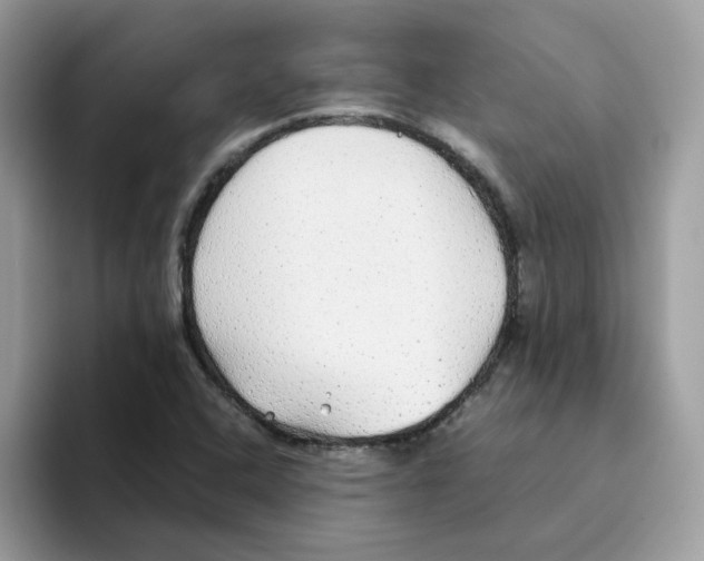 X0000093441408200711091445