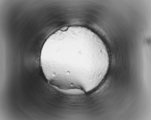 X0000093441409200711091445