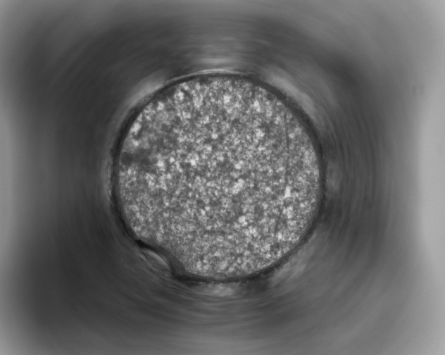 X0000093441411200711091445