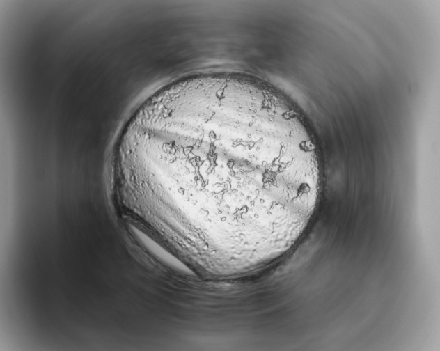 X0000093441413200711091445