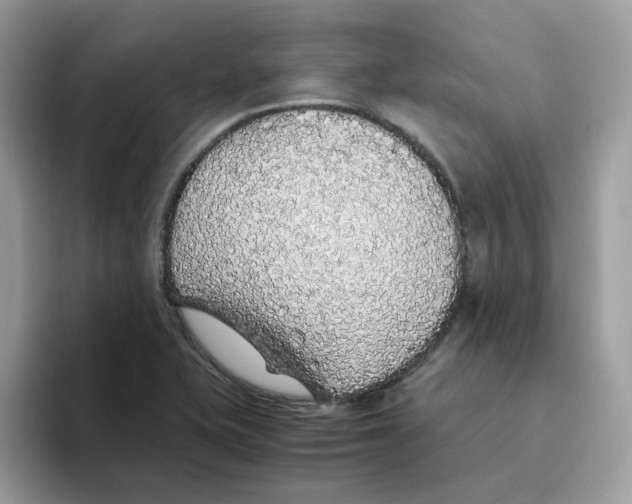 X0000093441415200711091445