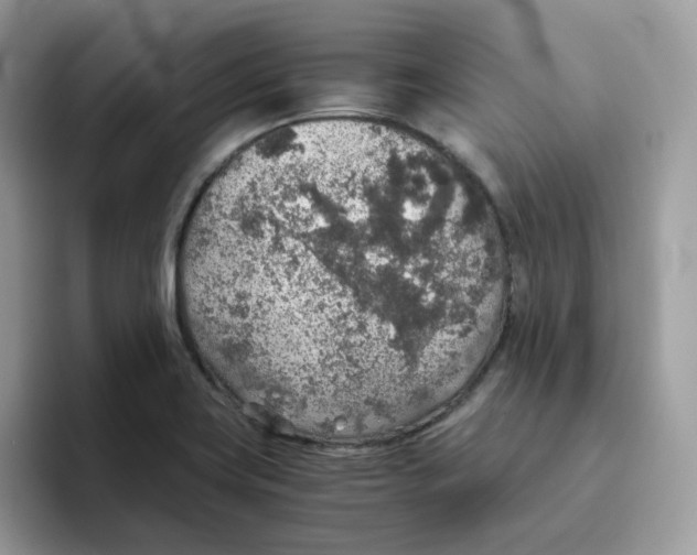 X0000093441419200711091446