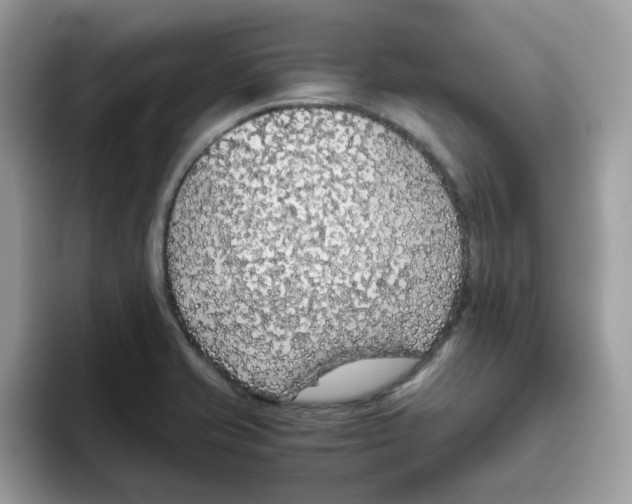 X0000093441421200711091446