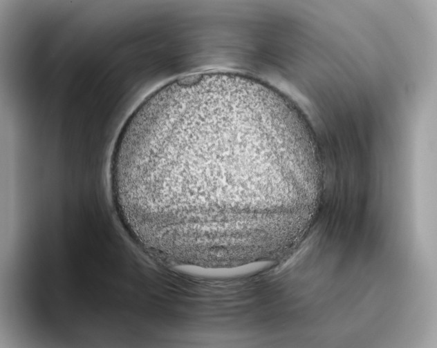 X0000093441423200711091446