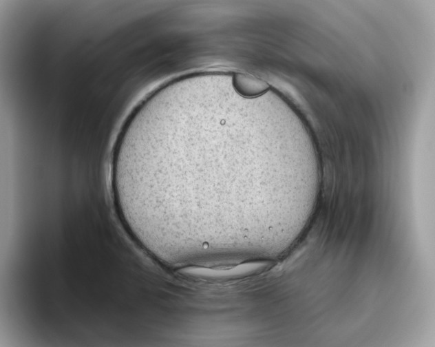 X0000093441424200711091446