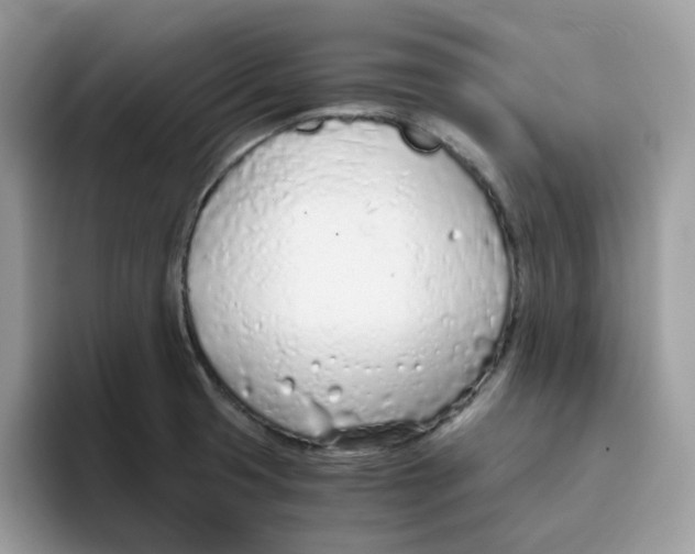 X0000093441425200711091446