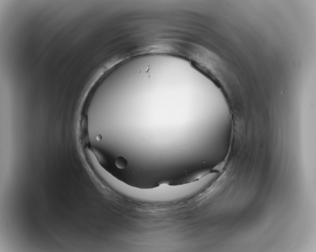 X0000093441426200711091446