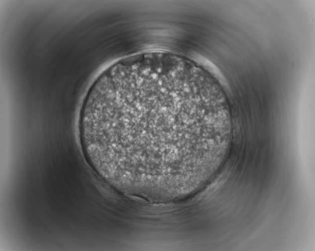 X0000093441427200711091446