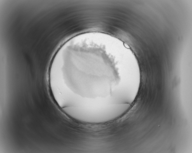 X0000093441428200711091446