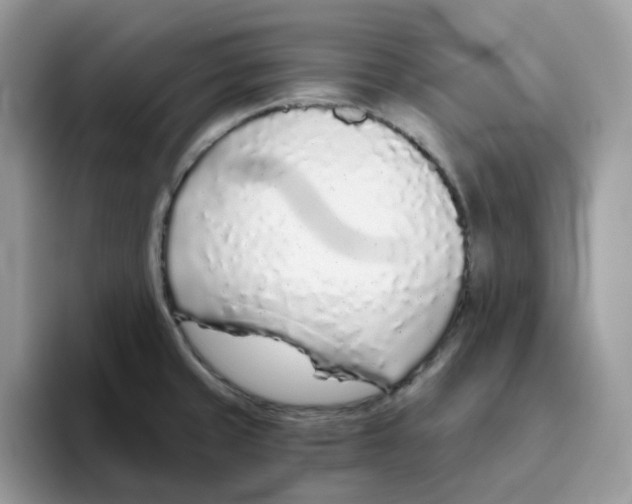 X0000093441429200711091446