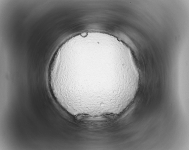 X0000093441431200711091446