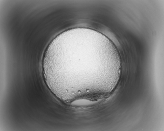 X0000093441436200711091446