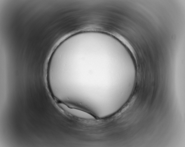 X0000093441437200711091446