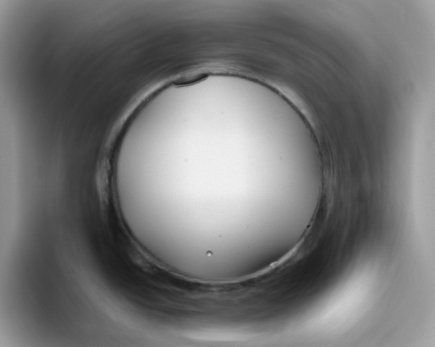 X0000093441438200711091446