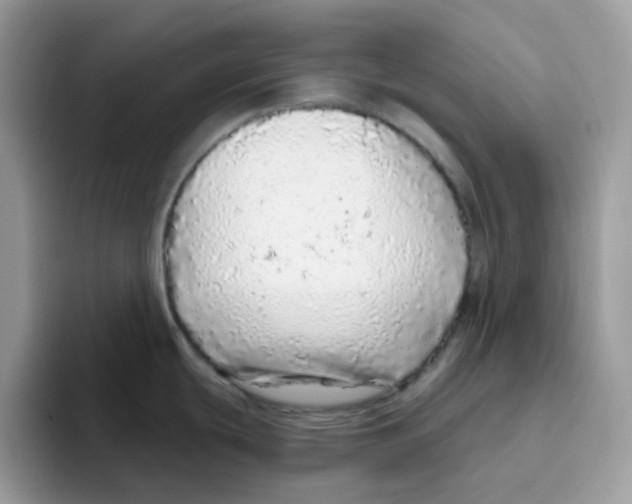 X0000093441439200711091446