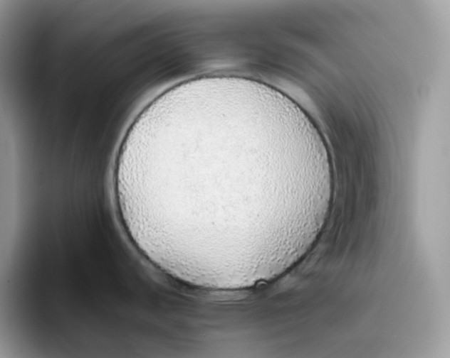 X0000093441440200711091446