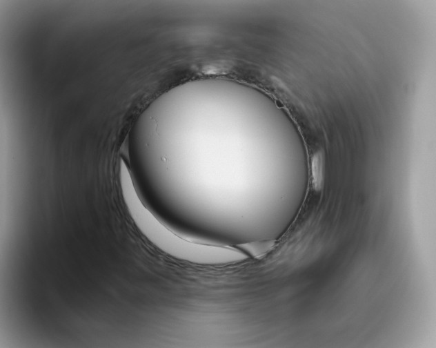 X0000093441443200711091445